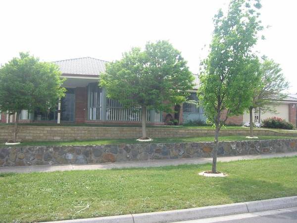 THE WHOLE PACKAGE Picture 2