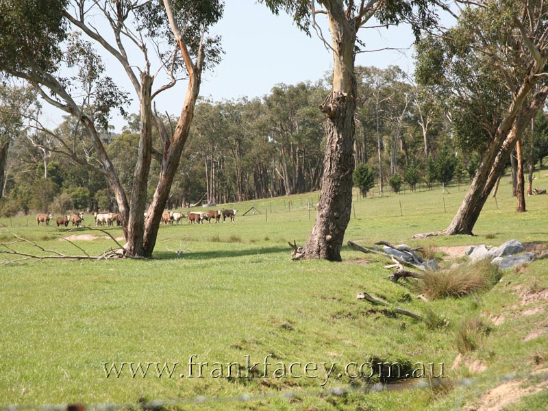 THE PASTURE - 9.8HA (24.22 ACRES) Picture 3