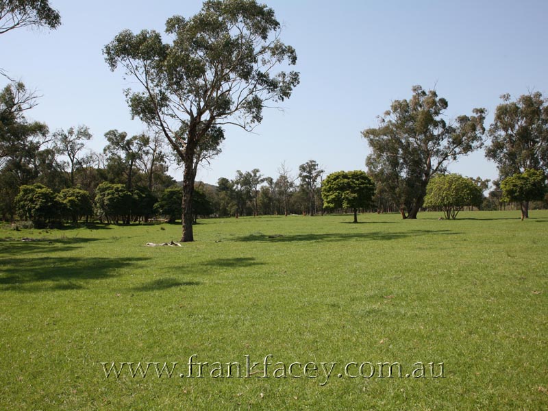 THE PASTURE - 9.8HA (24.22 ACRES) Picture 1