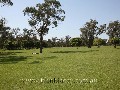 THE PASTURE - 9.8HA (24.22 ACRES) Picture