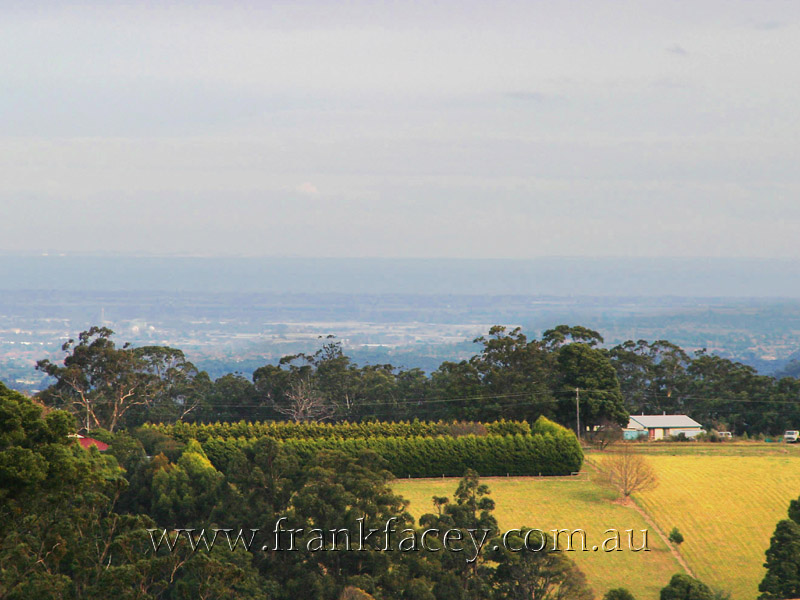 SPECTACULAR LIFESTYLE FARMLET - 20.1 HA (50 ACRES APPROX) WITH PANORAMIC WATER VIEWS Picture 3