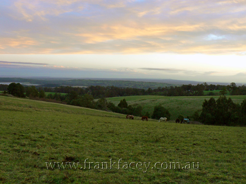 SPECTACULAR LIFESTYLE FARMLET - 20.1 HA (50 ACRES APPROX) WITH PANORAMIC WATER VIEWS Picture 2