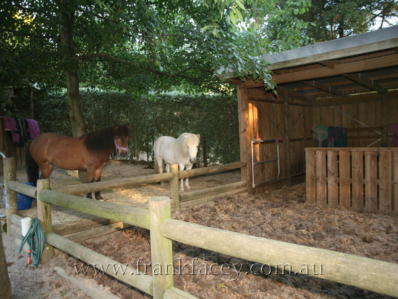 PRESENTATION PERFECT ON 2.5 ACRES Picture 2