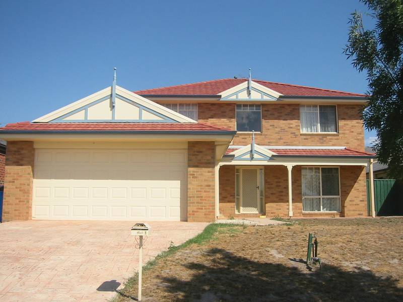 A TRUE DELIGHT - UNDER APPLICATION Picture