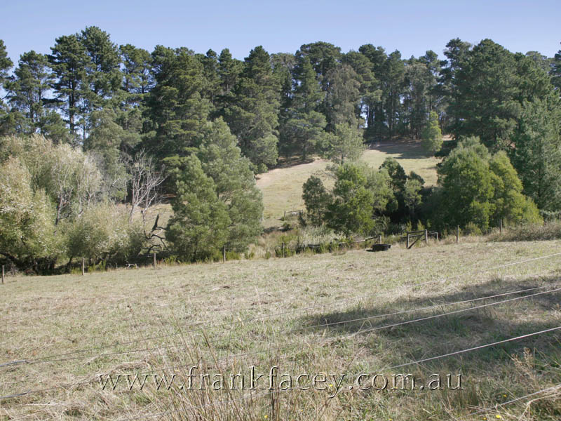 LINFORD PARK - 18.5 ACRE, COUNTRY LIFE RETREAT Picture 3