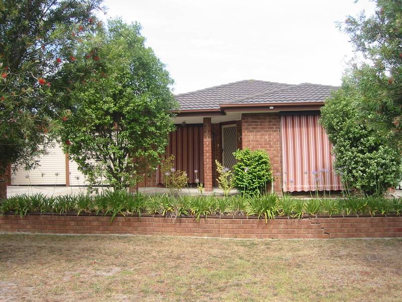 TREASURE IN TIMBARRA Picture 1