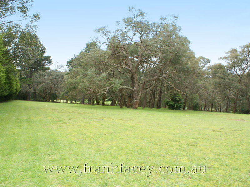 3 PARKLIKE
ACRES WITH TRANQUIL VIEWS ACROSS BEACONHILLS GOLF CLUB Picture 1