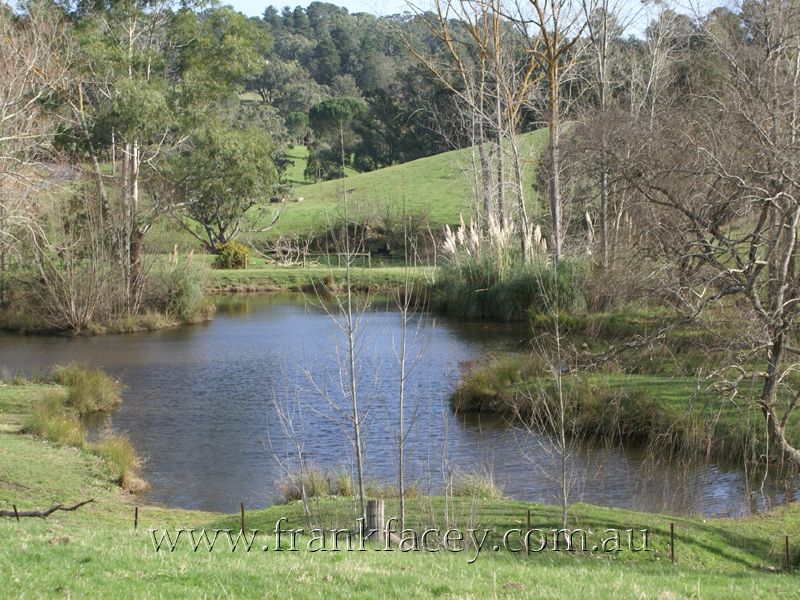 MANORHINA - 8.3HA - 20.5 ACRES 