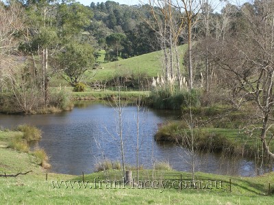 MANORHINA - 8.3HA - 20.5 ACRES 