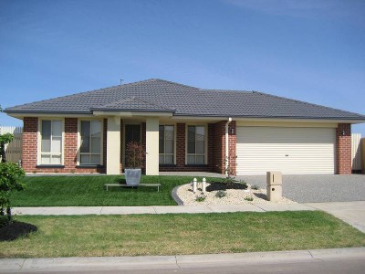 BRAND NEW AND BOLD Picture BRAND NEW AND BOLD Picture