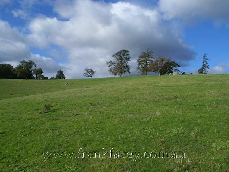 ELEVATED LIFESTYLE FARMLET - 23.3 ACRES - 9.44HA Picture 1