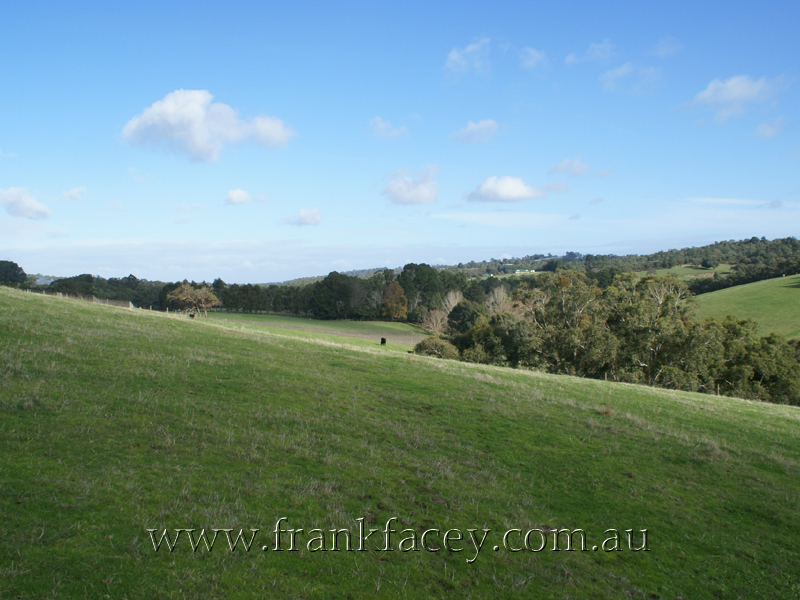 ELEVATED LIFESTYLE FARMLET - 23.3 ACRES - 9.44HA Picture 2