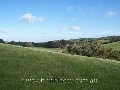 ELEVATED LIFESTYLE FARMLET - 23.3 ACRES - 9.44HA Picture