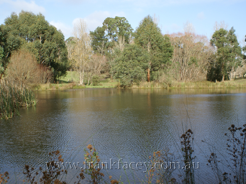 PICTURESQUE AND PRODUCTIVE - 16.4 ACRES - 6.6HA Picture 3