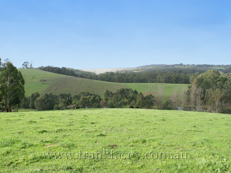 PICTURESQUE AND PRODUCTIVE - 16.4 ACRES - 6.6HA Picture 1