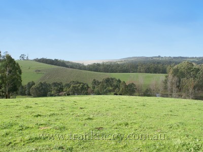 PICTURESQUE AND PRODUCTIVE - 16.4 ACRES - 6.6HA Picture PICTURESQUE AND PRODUCTIVE - 16.4 ACRES - 6.6HA Picture