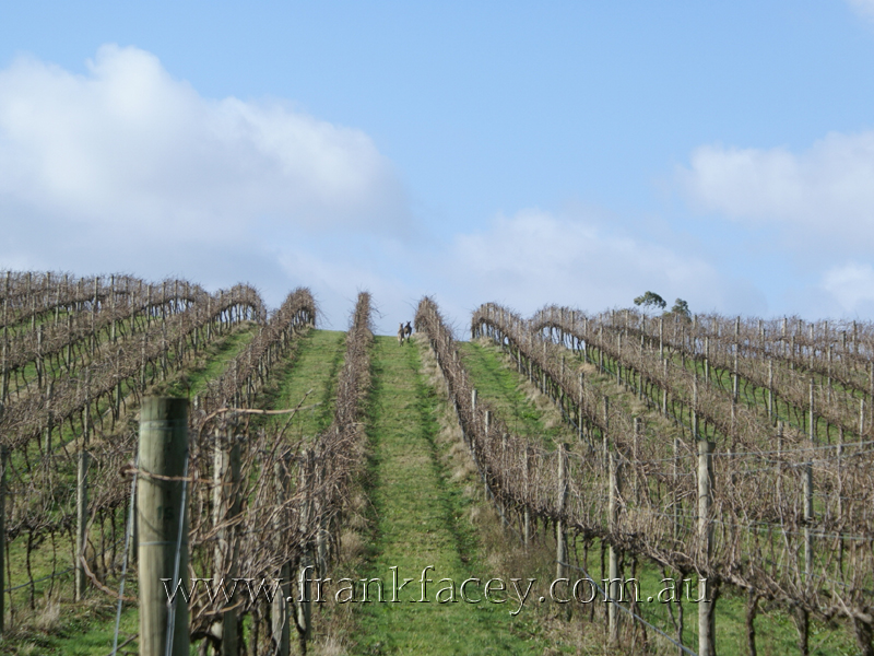 PICTURESQUE AND PRODUCTIVE - 16.4 ACRES - 6.6HA Picture 2