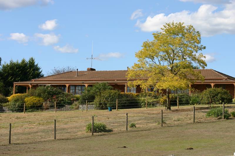 ENJOY THE PEACE Picture 1