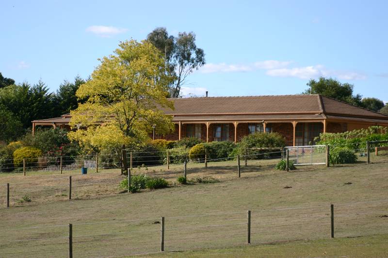 ENJOY THE PEACE Picture 2