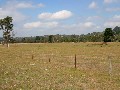 SUPERBLY POSITIONED FARMLET - 8HA - 20 ACRES - SEALED ROAD Picture