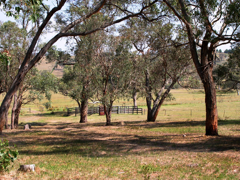 SUPERBLY POSITIONED FARMLET - 8HA - 20 ACRES - SEALED ROAD Picture 2