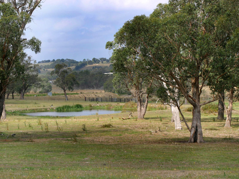 SUPERBLY POSITIONED FARMLET - 8HA - 20 ACRES - SEALED ROAD Picture 1