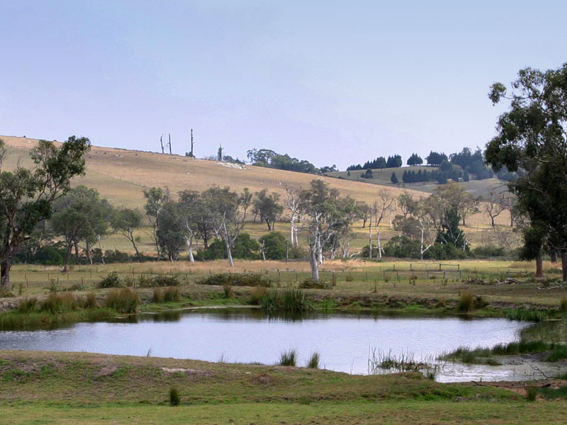 SUPERBLY POSITIONED FARMLET - 8HA - 20 ACRES - SEALED ROAD Picture 3