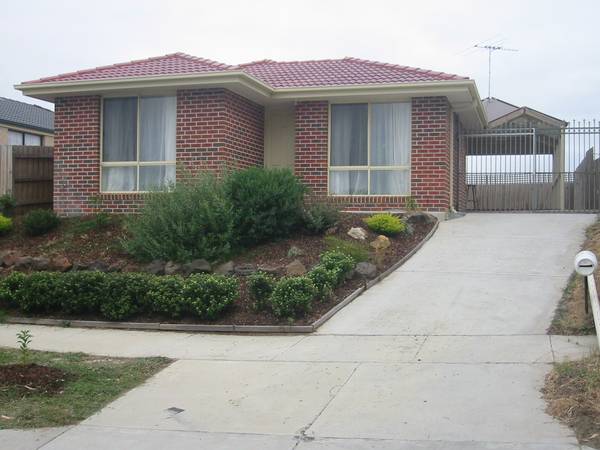 Close to Primary School Picture 1