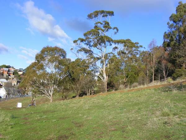 Walk to the Gorge,Swim at the Gorge,Dine at the Gorge......Gorgeous. Picture 2