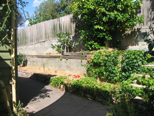 EAST LAUNCESTON Picture 3