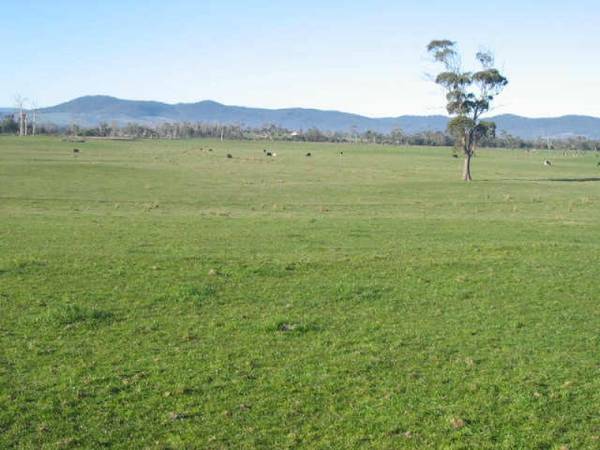 324 ha GRAZING PROPERTY ON THREE TITLES Picture 1