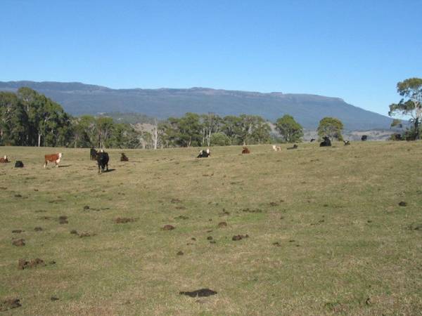 79 Ha FARM ON TWO TITLES Picture 2