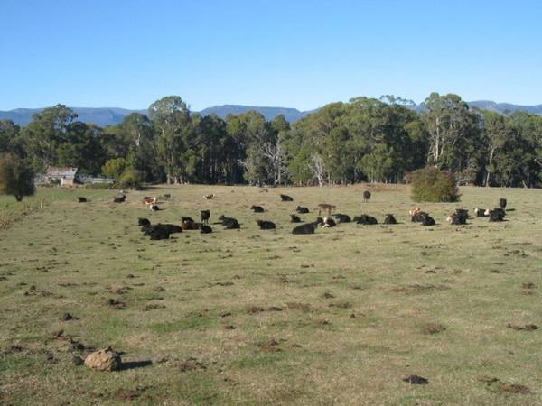 79 Ha FARM ON TWO TITLES Picture 1