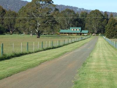 GODS LITTLE ACRES (all 21 of them) Picture