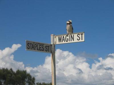 Perfect Location For Your Dream Home Picture