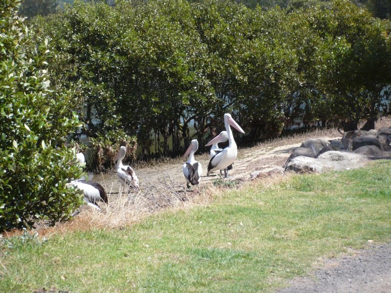 Waters Edge Picture 3