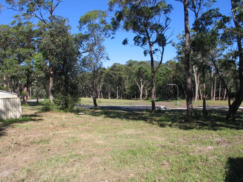 Cheapest Block in the Heads! Picture 3