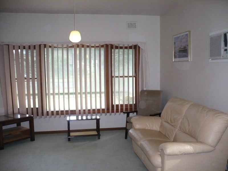 A cutie full of charm Picture A cutie full of charm Picture