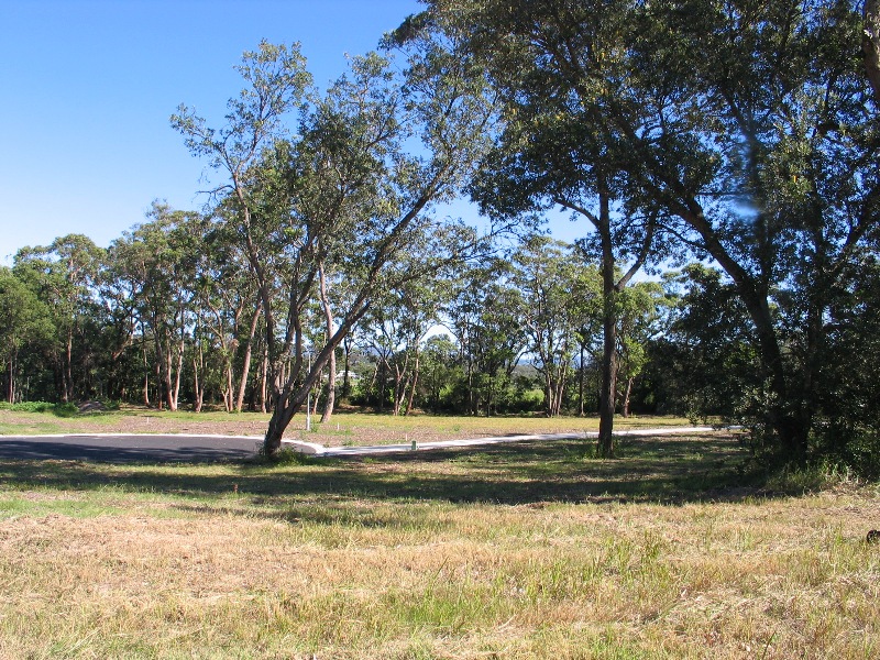 Create your Dream Home Picture 3