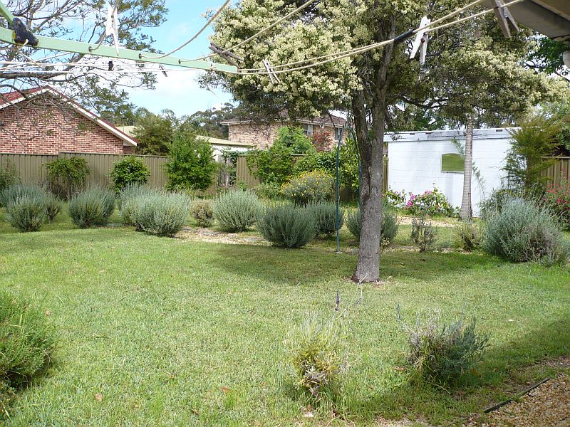 2 bedroom House Picture 3