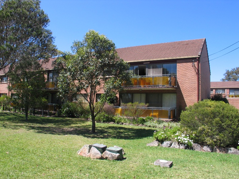 Supersize Surprise Picture 1