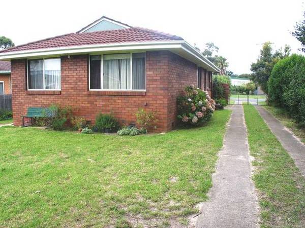 Your Own Oasis In Town Picture 2