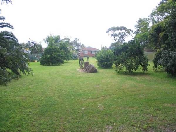 Your Own Oasis In Town Picture 1