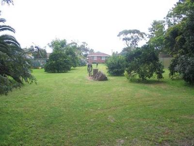 Your Own Oasis In Town Picture