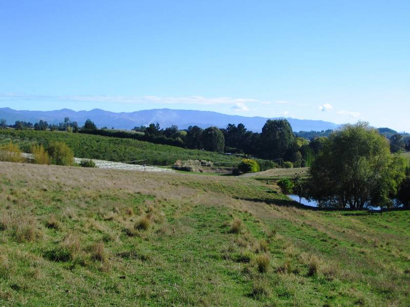 FASCINATING RUBY BAY LIFESTYLE Picture