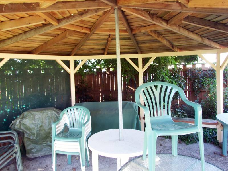 ROOM TO RUN IN RIWAKA Picture 3