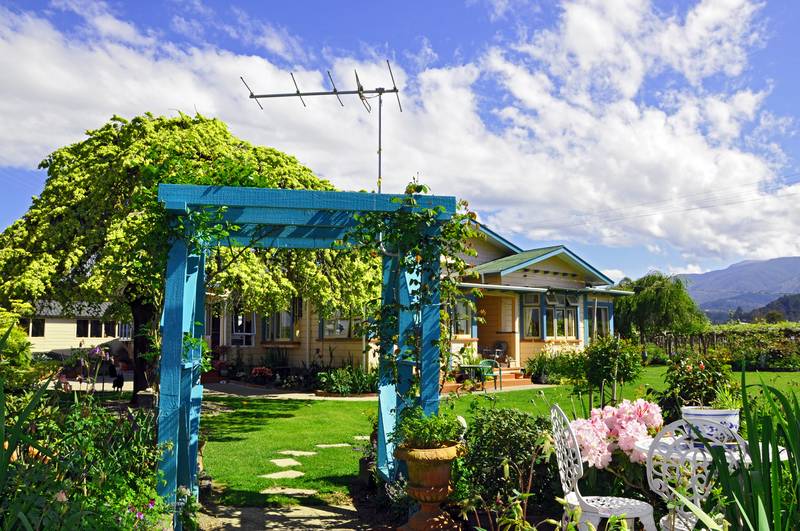 ROOM TO RUN IN RIWAKA Picture 1