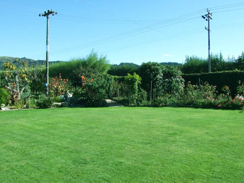 ROOM TO RUN IN RIWAKA Picture 2