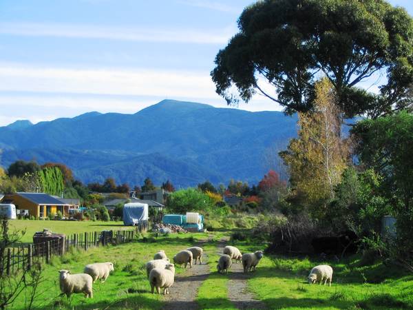 DEVELPOMENT OF LIFESTYLE Picture 1