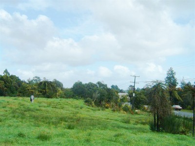 NEARLY AN ACRE FOR $105,000 Picture